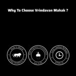 Vrindavan Mahak Shyama Perfume – Long Lasting Pure Amber & Woody Bold Fragrance for Confidence - Image 4