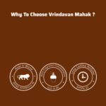 Vrindavan Mahak Patchauli Perfume – Long Lasting Earthy Patchouli & Woody Fragrance for Strength - Image 4