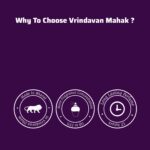 Vrindavan Mahak Sewa Kunj Perfume – Long Lasting Vanilla & White Musk Soft Fresh Fragrance - Image 4