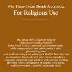 Amla Ubtan | Herbal Ayurvedic Powder | Nourishing & Natural Care | Handmade Blend - Image 5