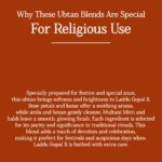 Narangi Ubtan | Natural Orange Peel Herbal Powder | Handmade & Ayurvedic | Refreshing Care - Image 5