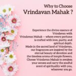 Nidhivan Perfume By Vrindavan Mahak | Inspired by Nidhivan Mandir | Floral Amber Fragrance | 100ml 200ml - Image 2